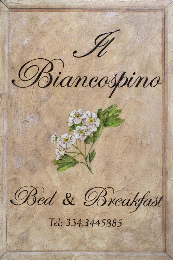 B&B Il Biancospino アッバディーア・サン・サルヴァトーレ エクステリア 写真